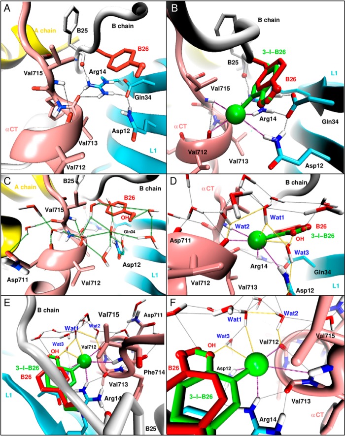 FIGURE 11.