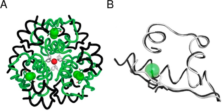 FIGURE 4.