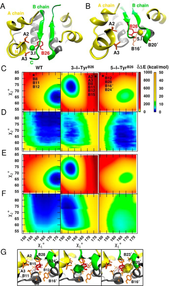 FIGURE 3.