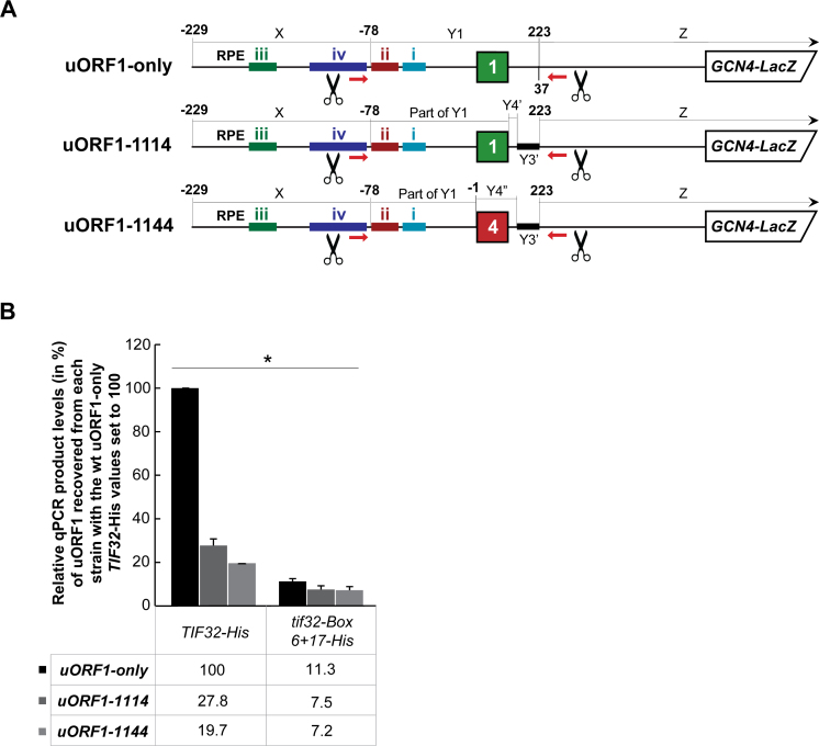 Figure 6.