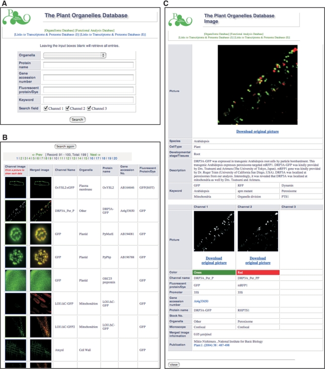 Figure 4.