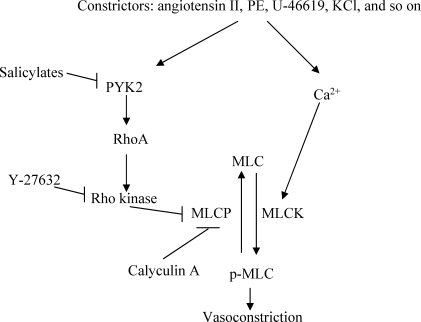 Figure 6