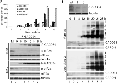 FIG. 6.