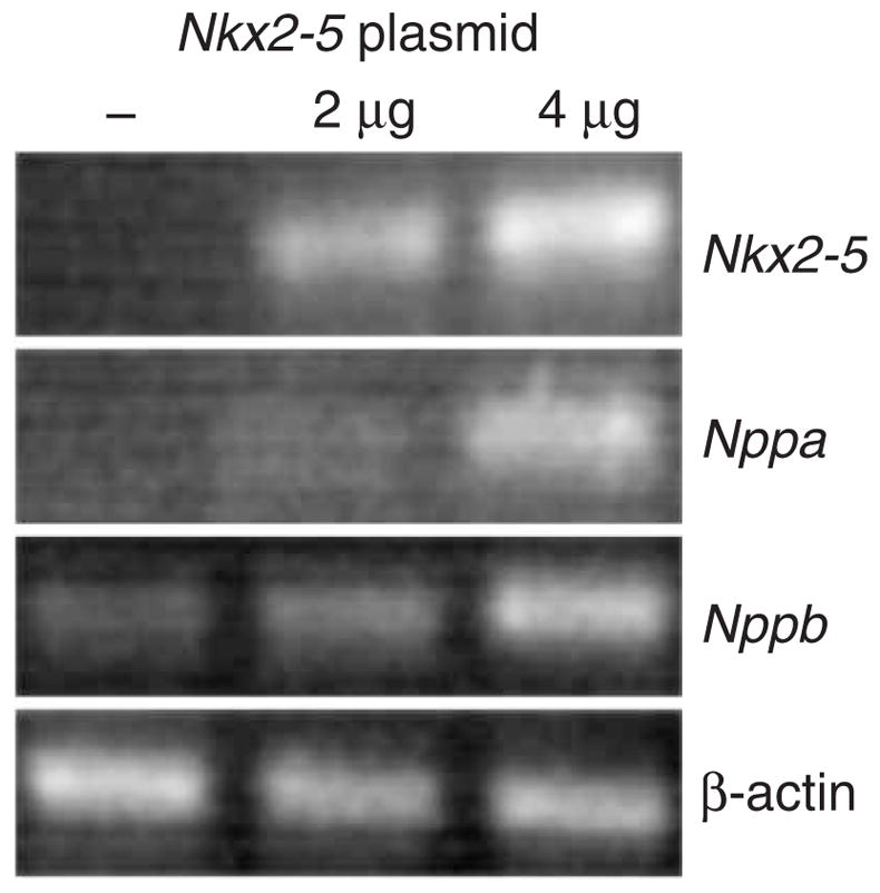 Figure 5