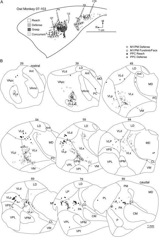 Figure 7.