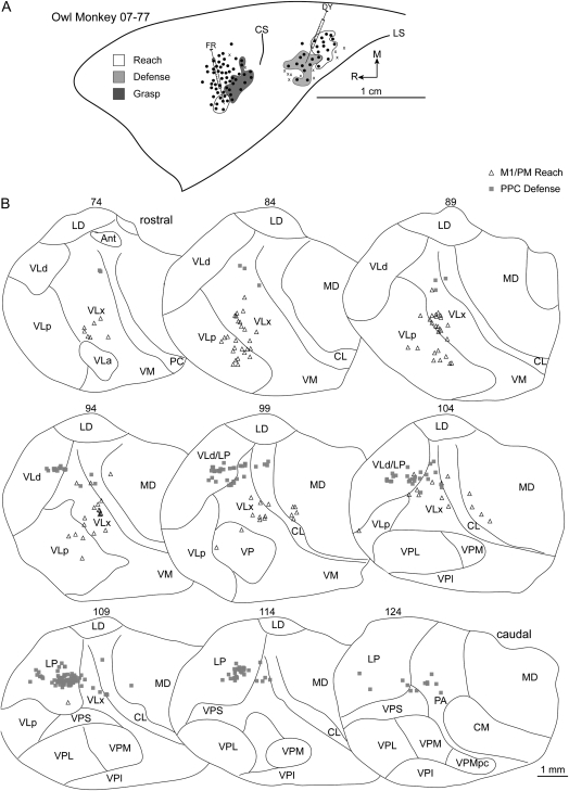 Figure 10.