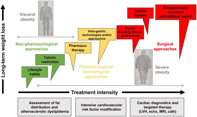 Figure 7: