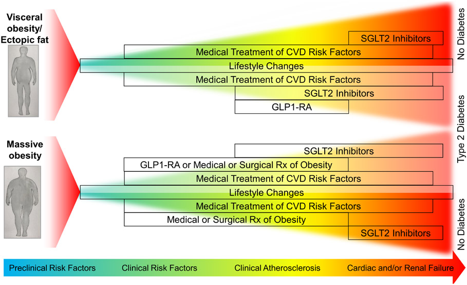 Figure 5: