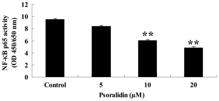 Figure 5.