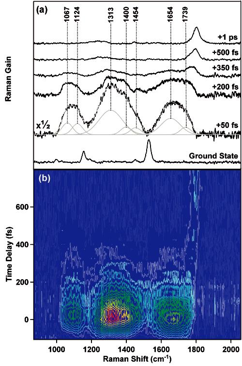 Figure 3.