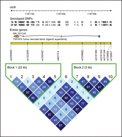 graphic file with name 1075.fig2.jpg