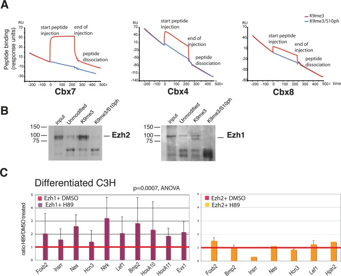 FIGURE 6: