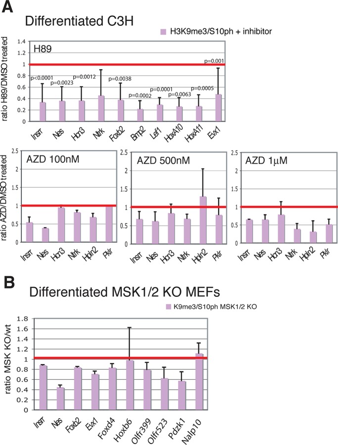 FIGURE 2: