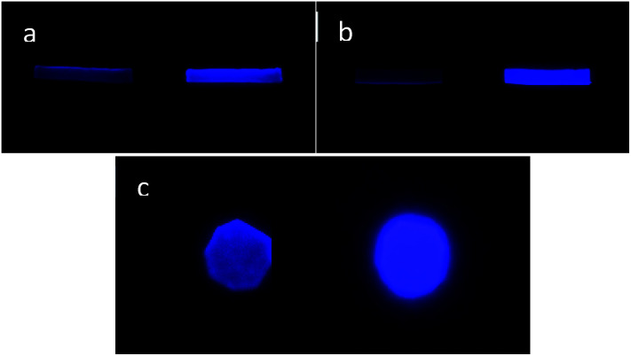 Fig. 5