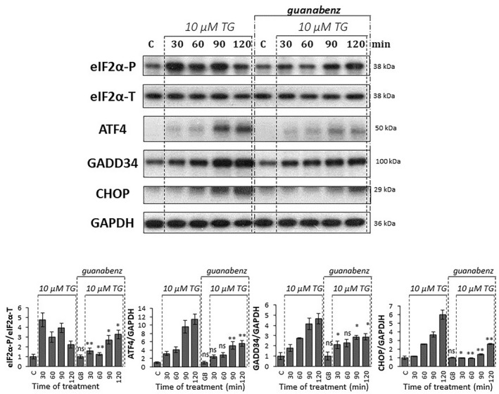 Fig. 4