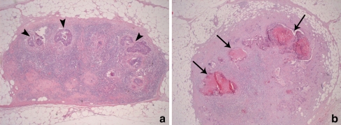 Fig. 5