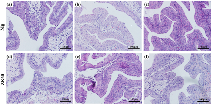 Fig. 7