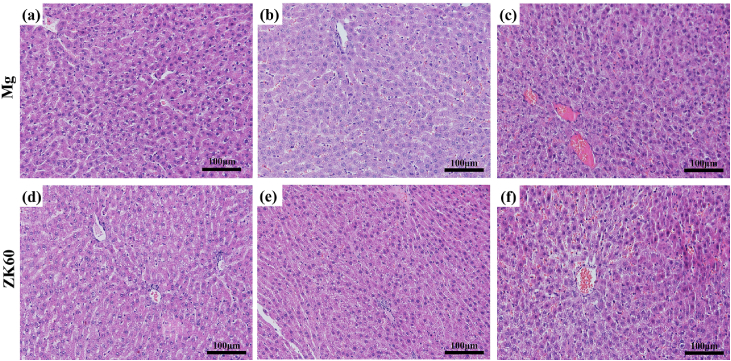 Fig. 8