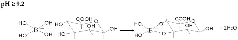 Scheme 3