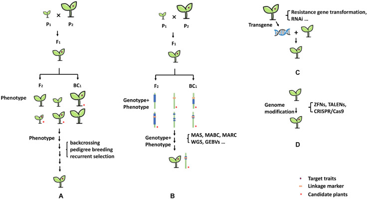 FIGURE 3