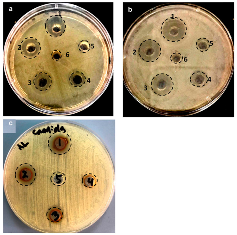 Figure 7