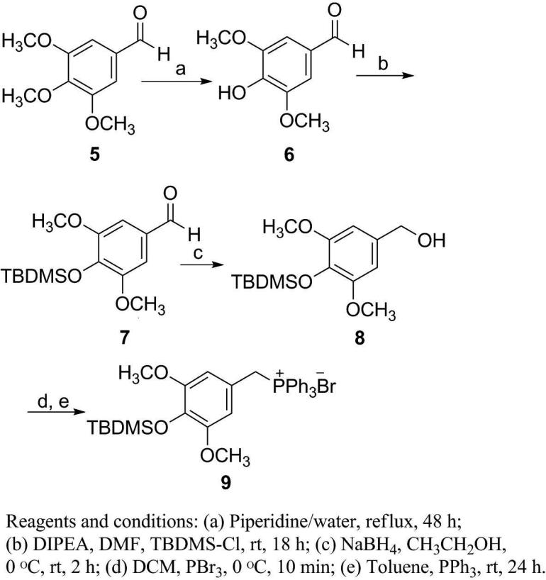 Scheme 1