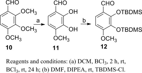 Scheme 2