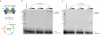 Extended Data Figure 2