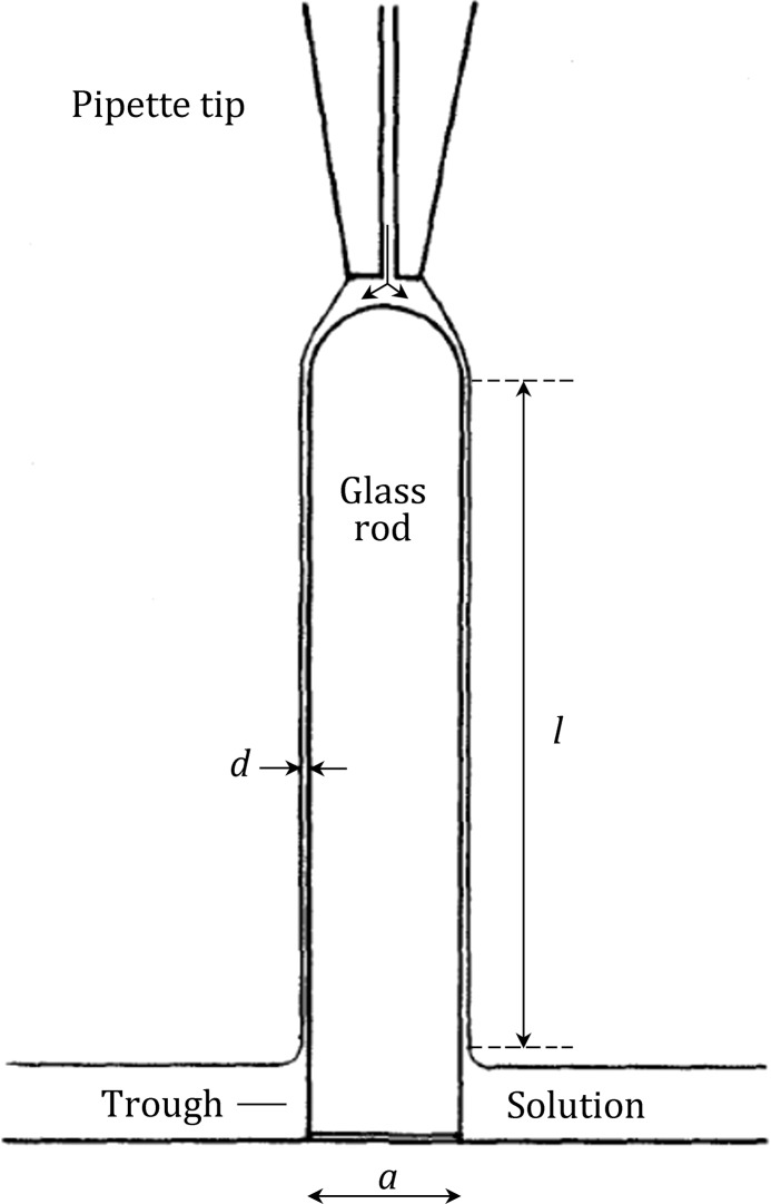 Fig. 2