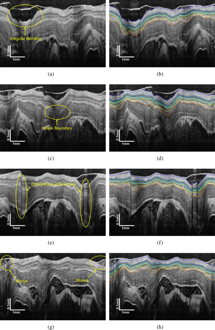 Fig. 7