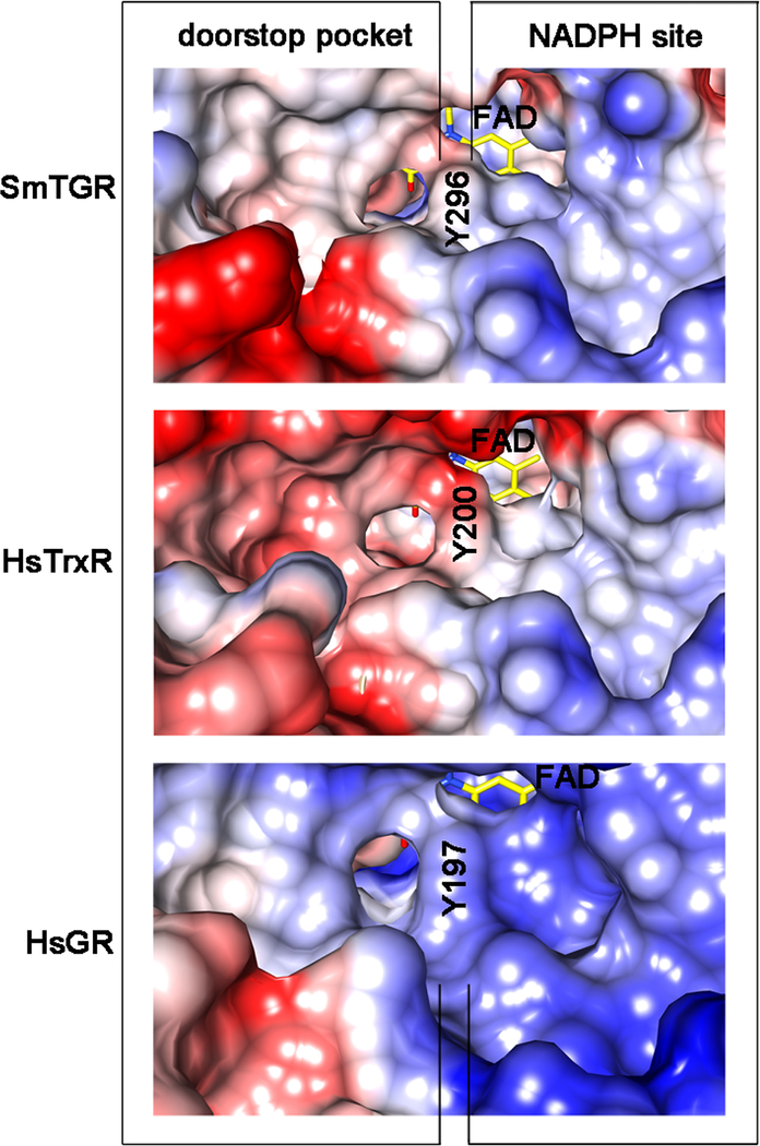 Figure 5.