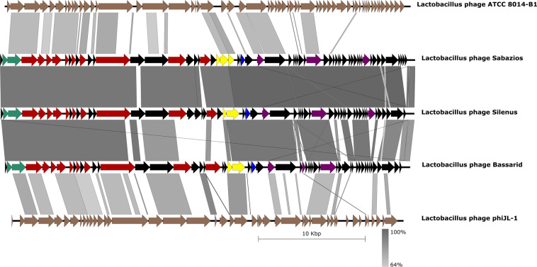 Figure 5
