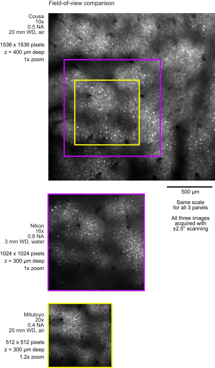 Extended Data Fig. 8