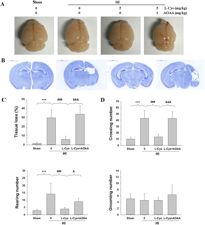 Fig. 10