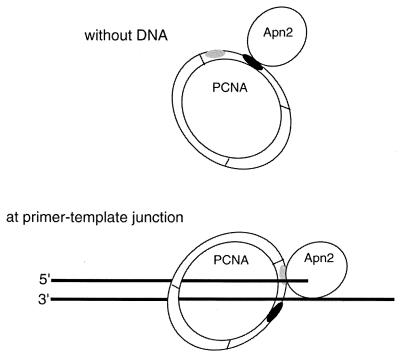 FIG. 7.