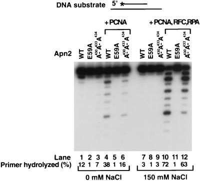 FIG. 5.