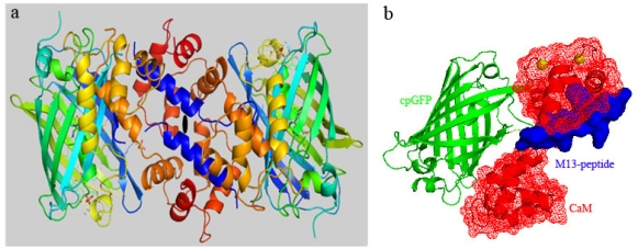 Figure 1.