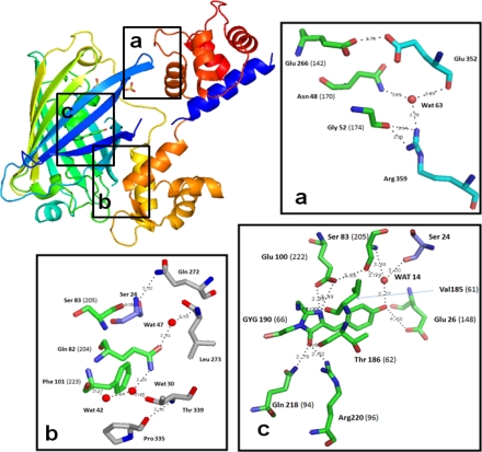 Figure 2.