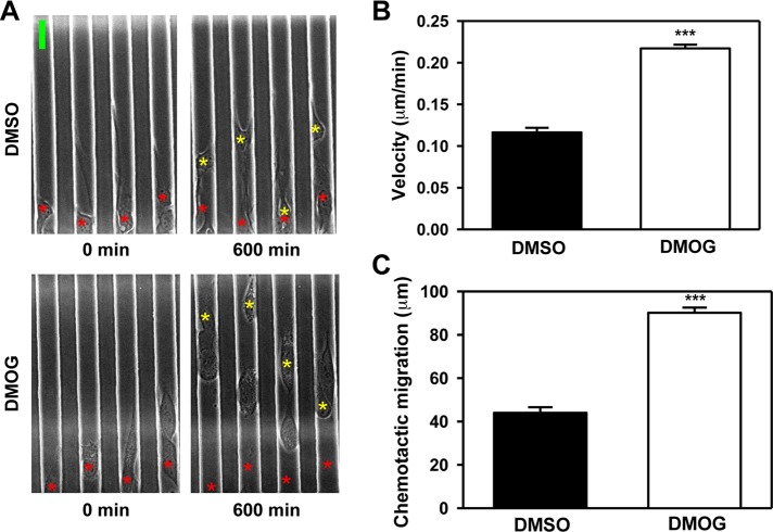 FIGURE 6: