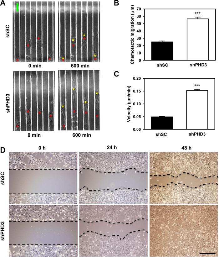 FIGURE 5: