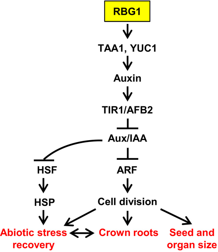 Figure 9