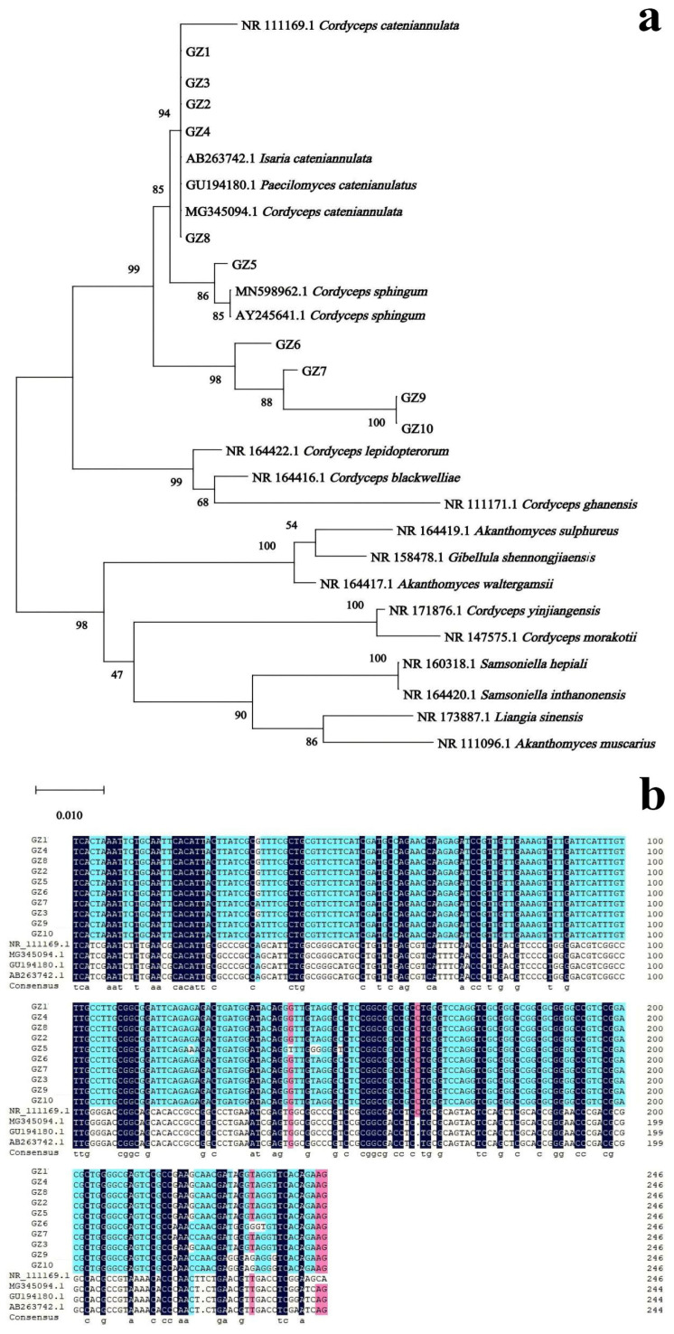 Figure 2