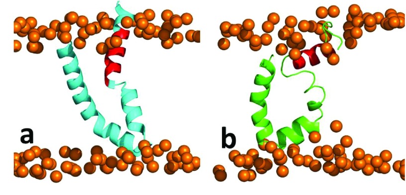 Supplementary Figure 1. 