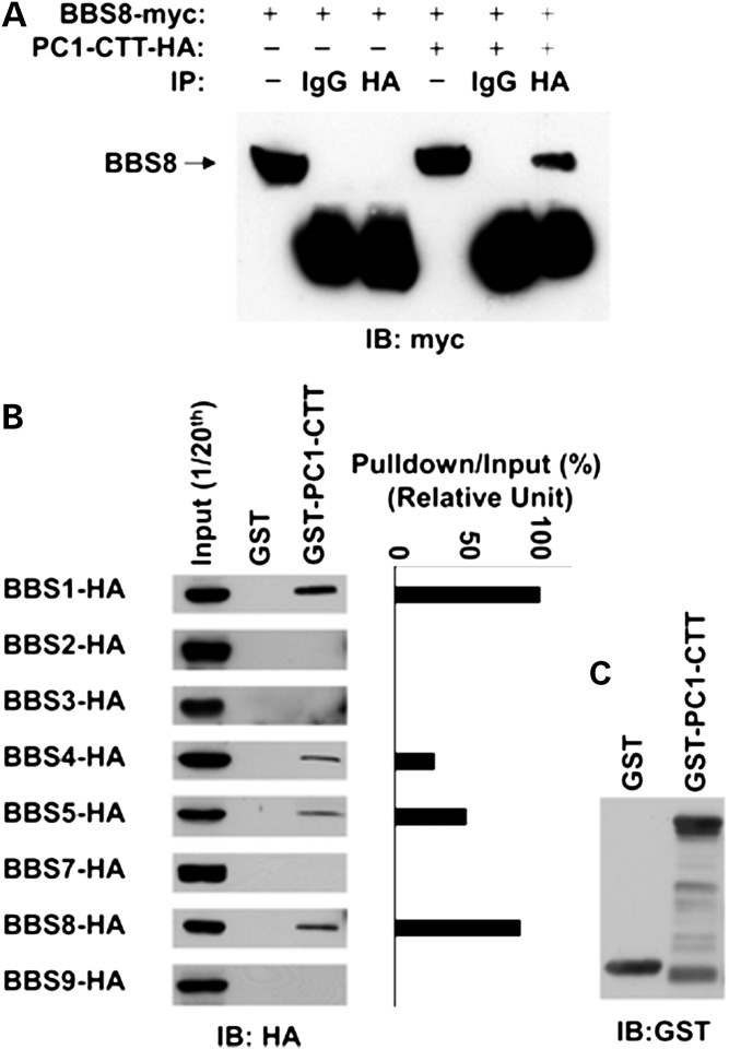 Figure 1.