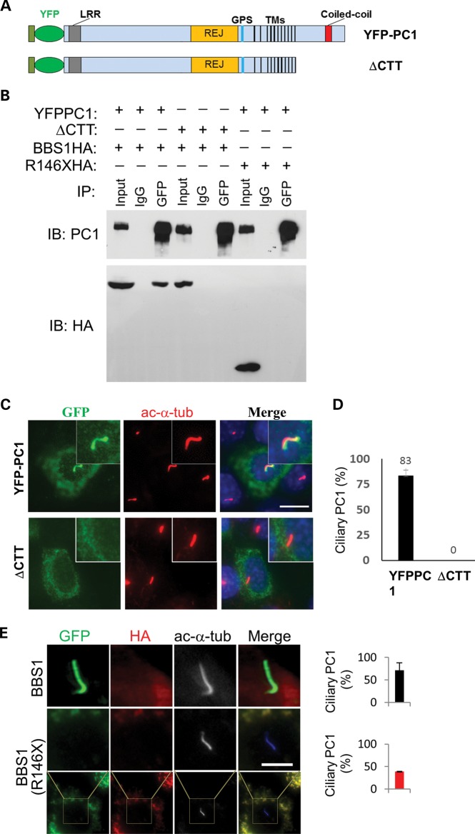 Figure 4.