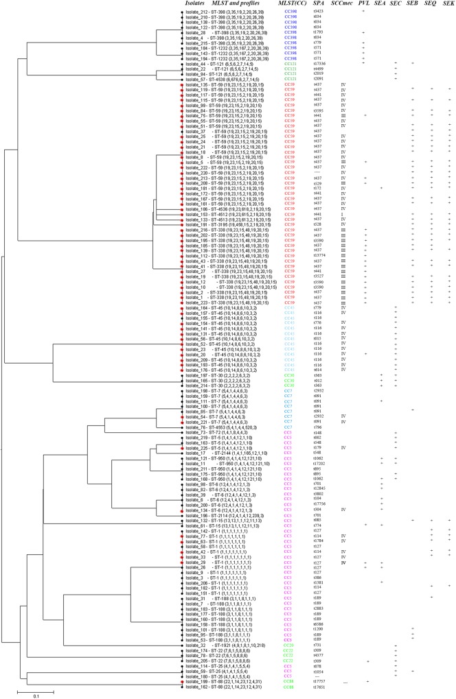 FIGURE 1