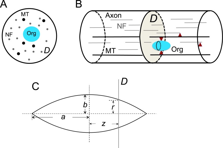 Fig 2