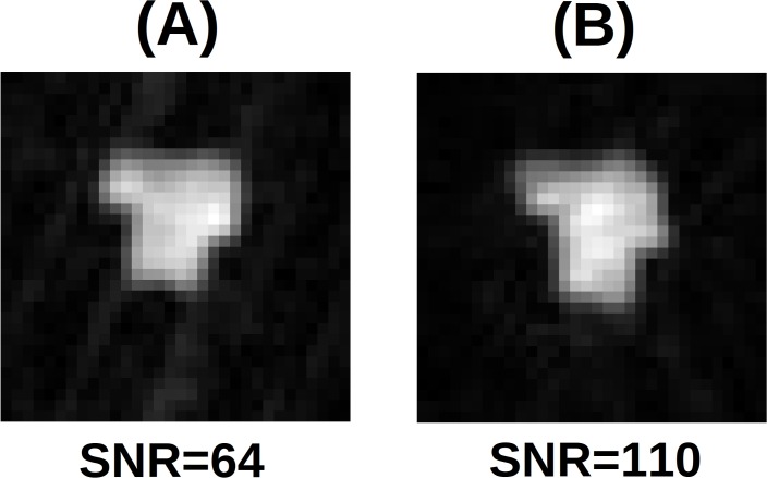 Fig 5