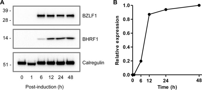 FIG 5