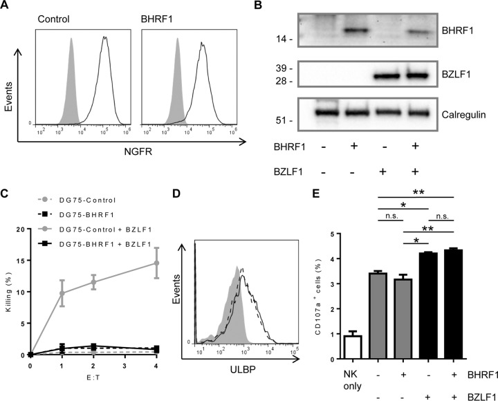 FIG 6